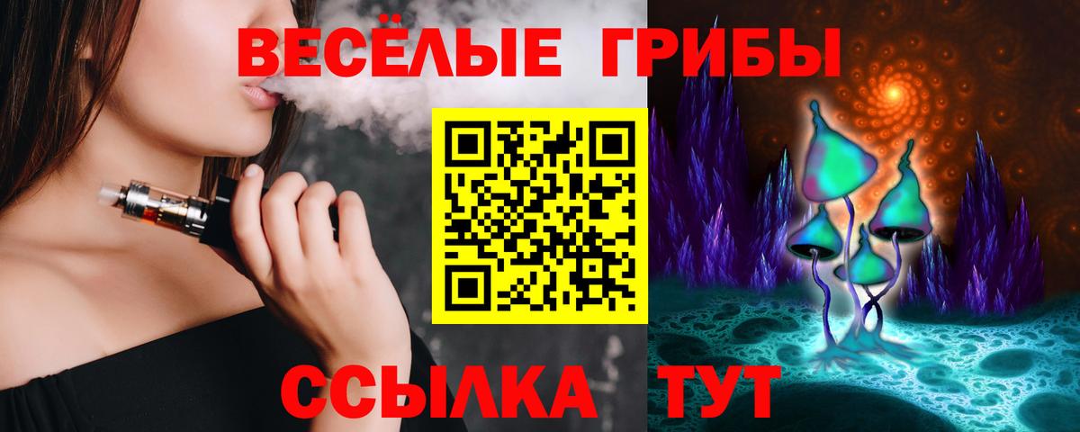 Луховицы  Псилоцибиновые грибы Cubensis  Вход с VPN 