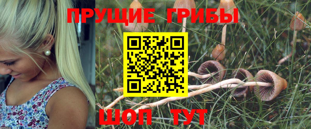 Галлюциногенные грибы Magic Shrooms Луховицы